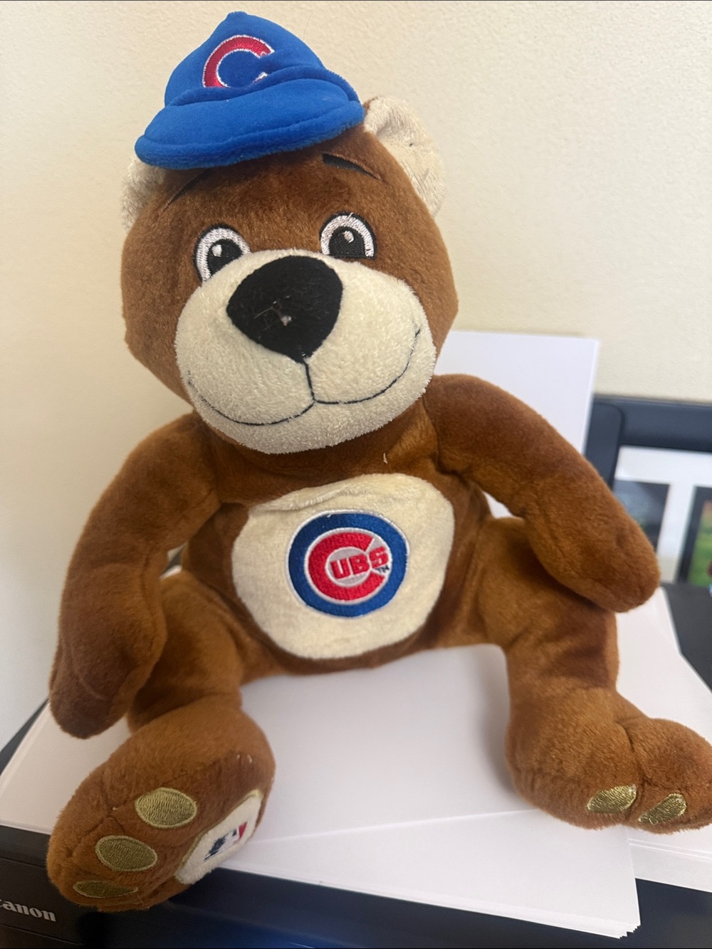 Brown Plush Teddy with Blue Cap and Team Emblem